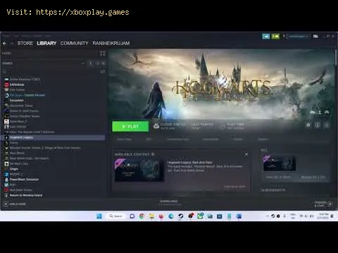 Video preview