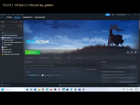 Video preview