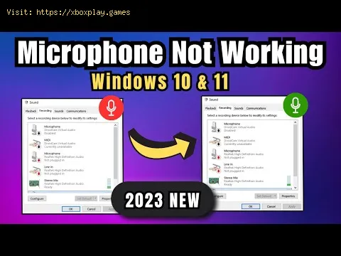 Video preview
