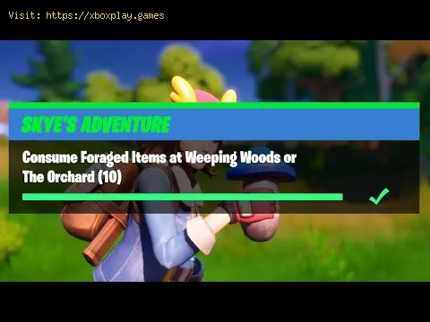 Video preview