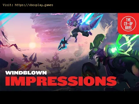 Video preview