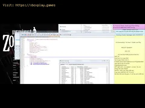 Video preview