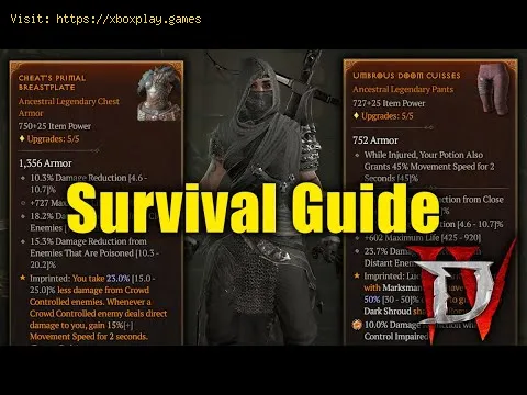 Video preview