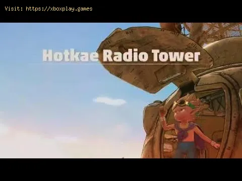 Video preview