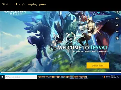 Video preview