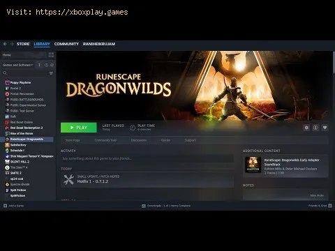 Video preview