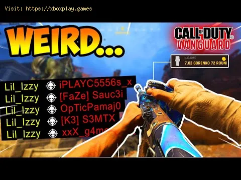 Video preview