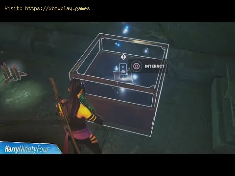 Video preview