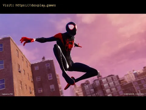 Video preview