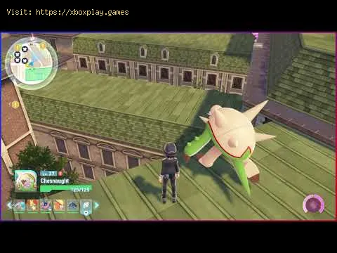 Video preview