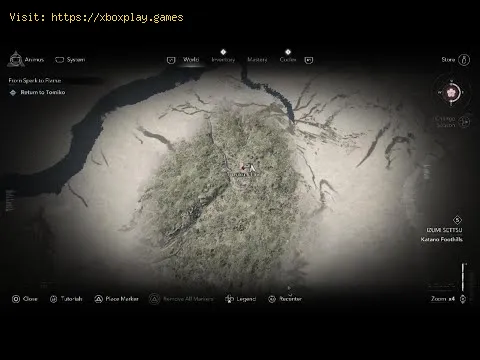 Video preview