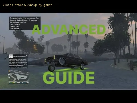 Video preview