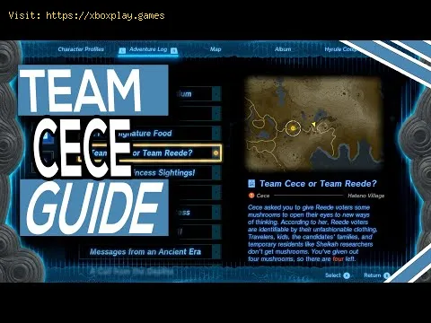 Video preview