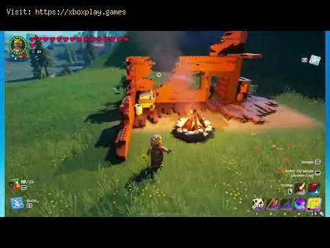 Video preview