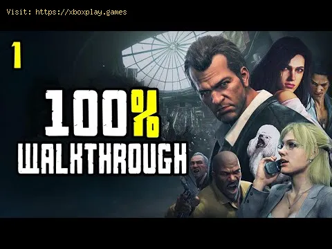 Video preview