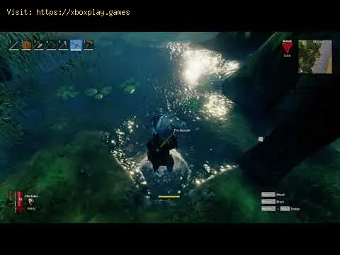 Video preview