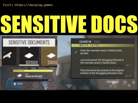 Video preview