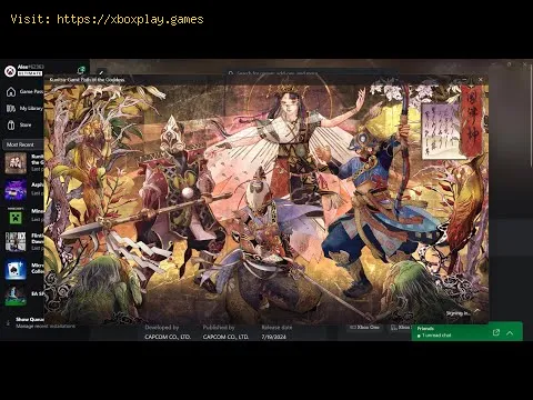 Video preview