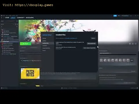 Video preview
