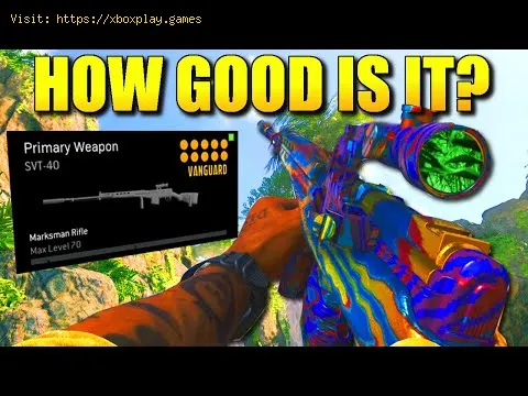 Video preview