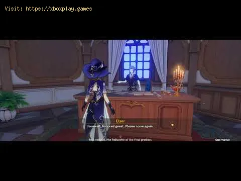 Video preview