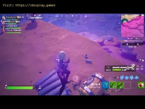 Video preview