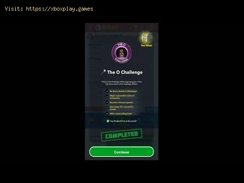 Video preview