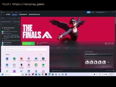 Video preview