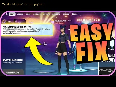 Video preview