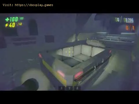 Video preview