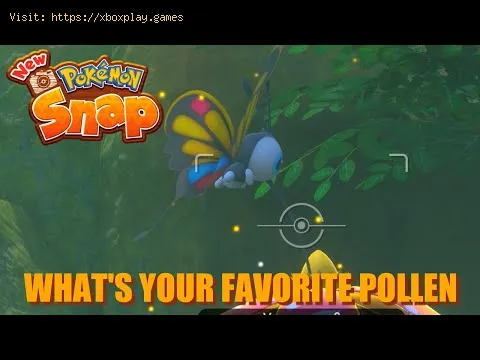 Video preview