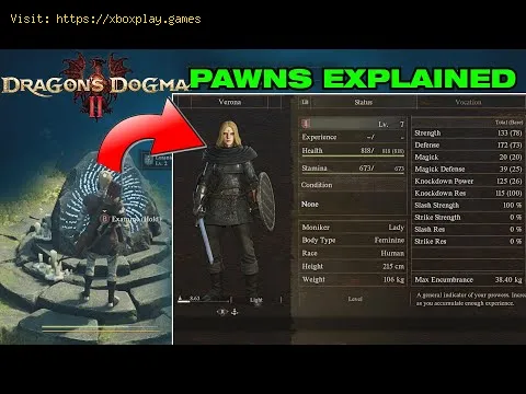 Video preview