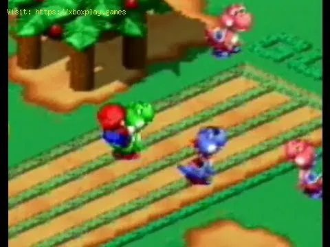 Video preview