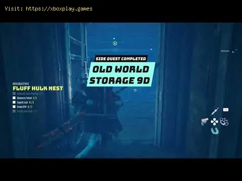 Video preview