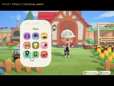 Video preview