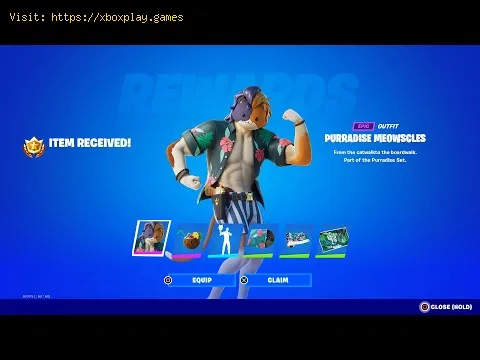 Video preview