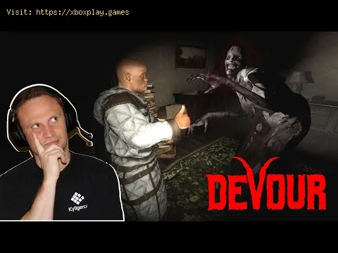 Video preview