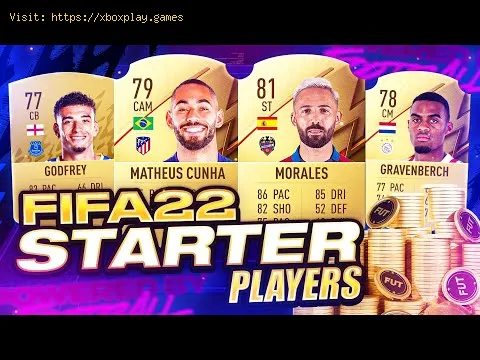 Video preview