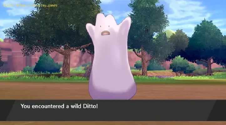 Pokemon Sword And Shield How Get Ditto Tips And Tricks