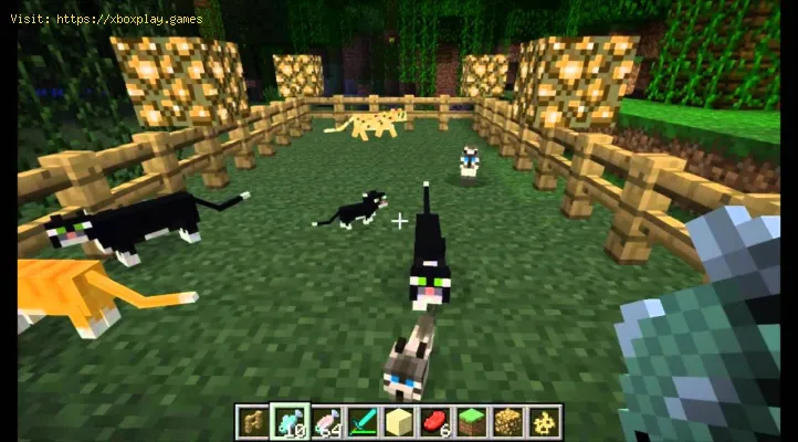 Minecraft Comment Apprivoiser Et Elever Des Chats