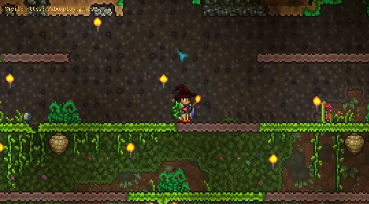 Terraria フルーツオブライフを入手する方法