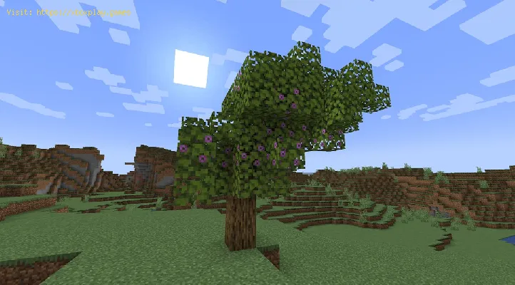 Minecraft ツツジの木を植える方法