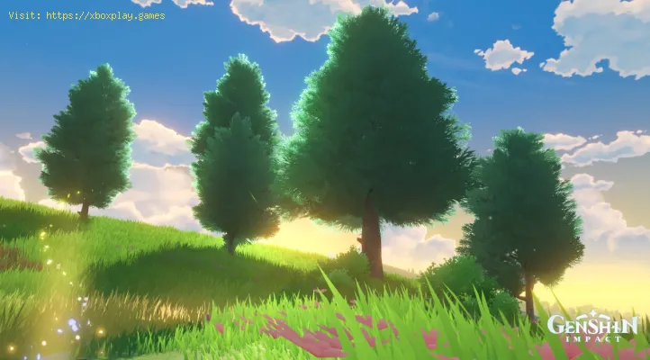 Genshin Impact Como Obtener Madera Para La Carcasa De La Tetera