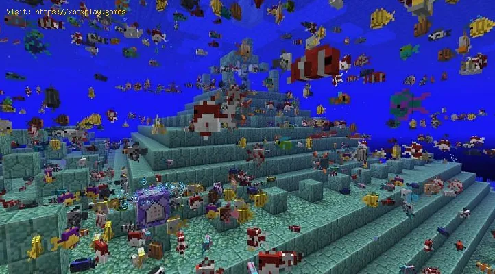 Minecraft 熱帯魚の探し方