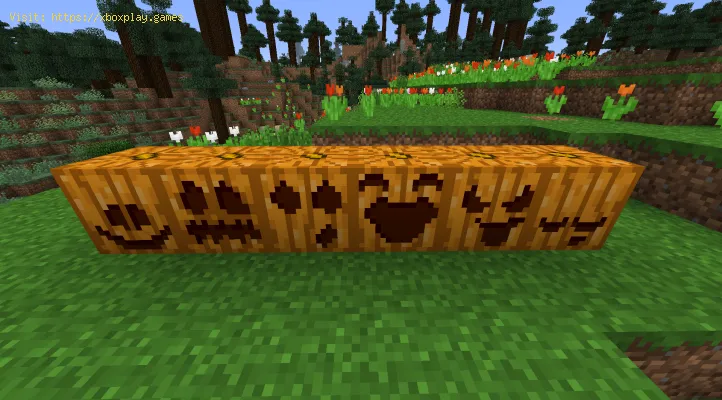 Minecraft Comment Tailler Une Citrouille Trucs Et Astuces