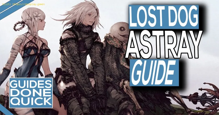 Nier Replicant Ver1.22: Como obter samambaia real
