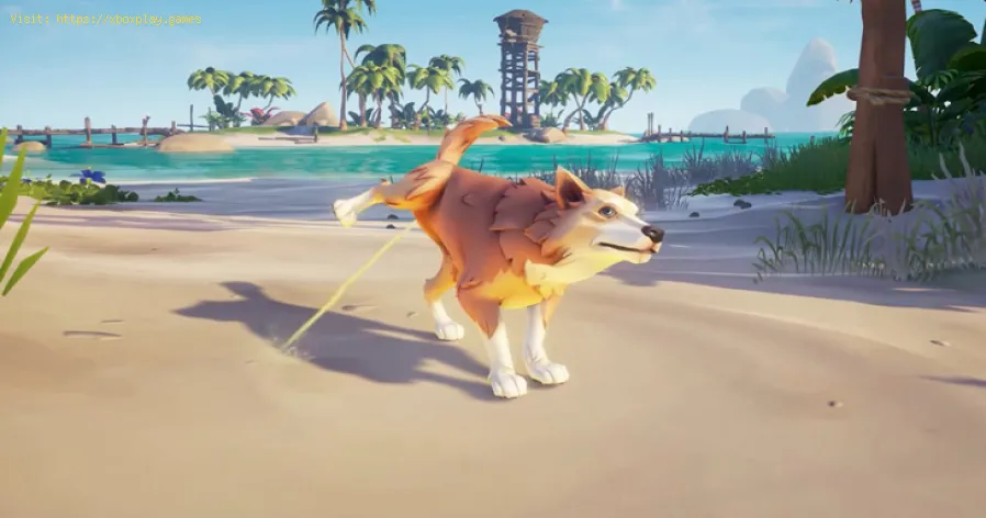 Sea of Thieves: Comment obtenir des chiens