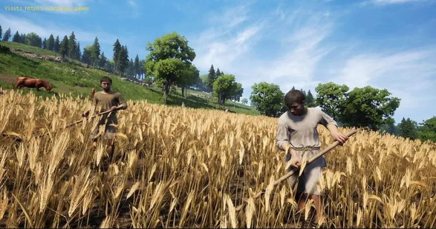 Medieval Dynasty: How To Heal - Tips and tricks