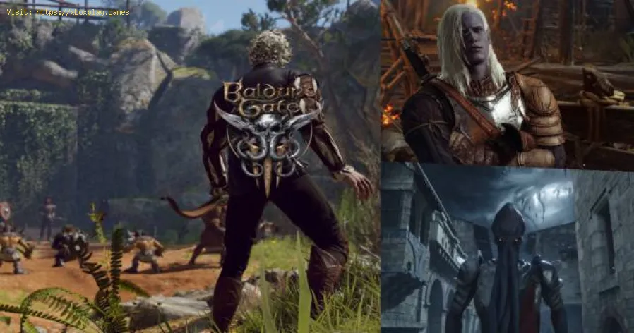 Baldur's Gate 3: come ottenere un animale domestico