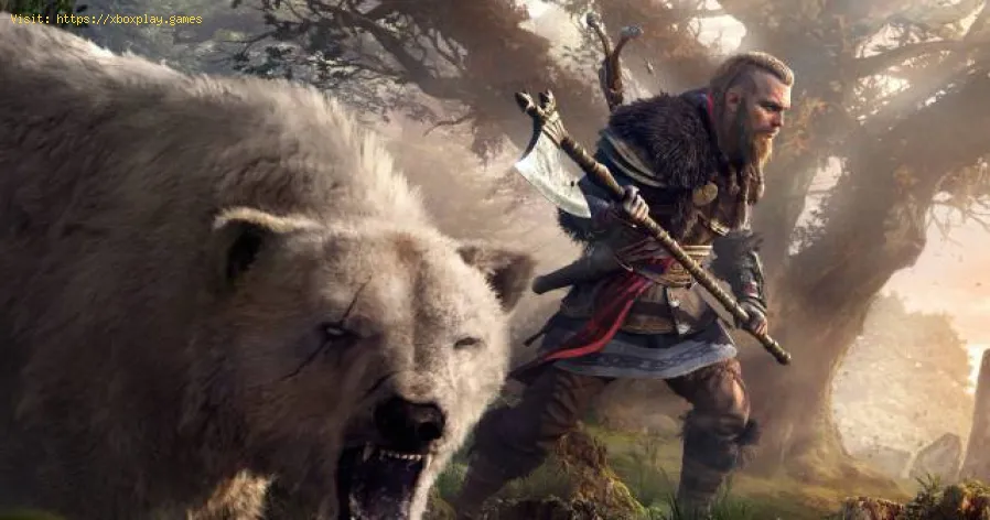 Assassin's Creed Valhalla: Comment réparer aucune erreur de son